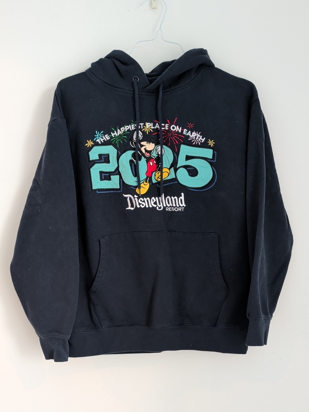 Disneyland Resort 2025 Navy Blue Hooded Sweatshirt Size Medium